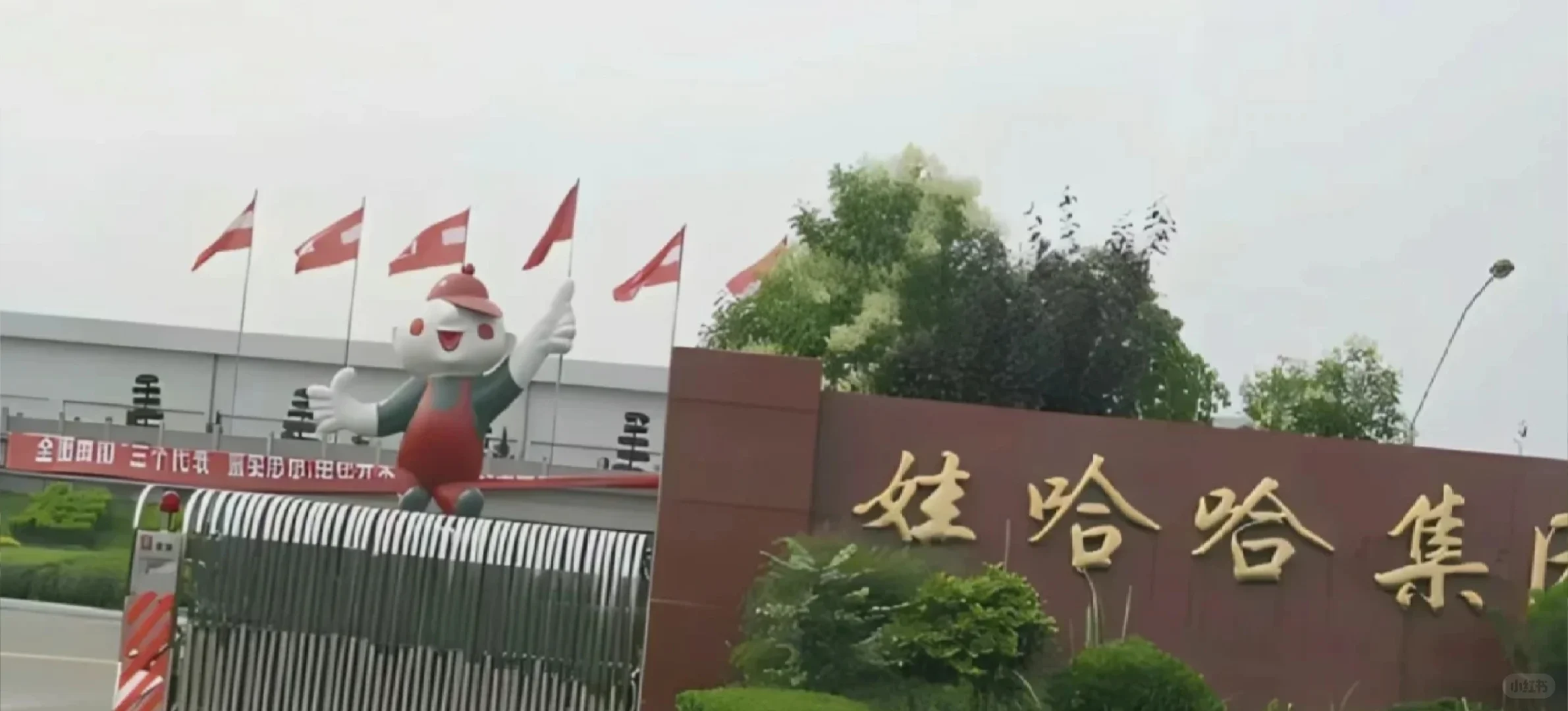 哇哈哈招人啦