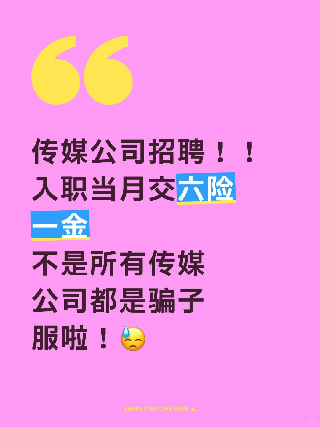 传媒公司招聘！！