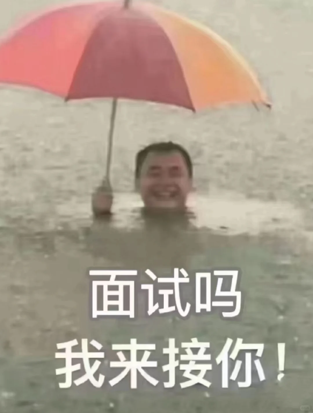 杭州招主播啦！
