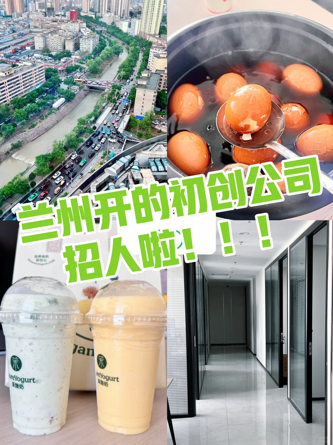 兰州开的公司招人啦！！