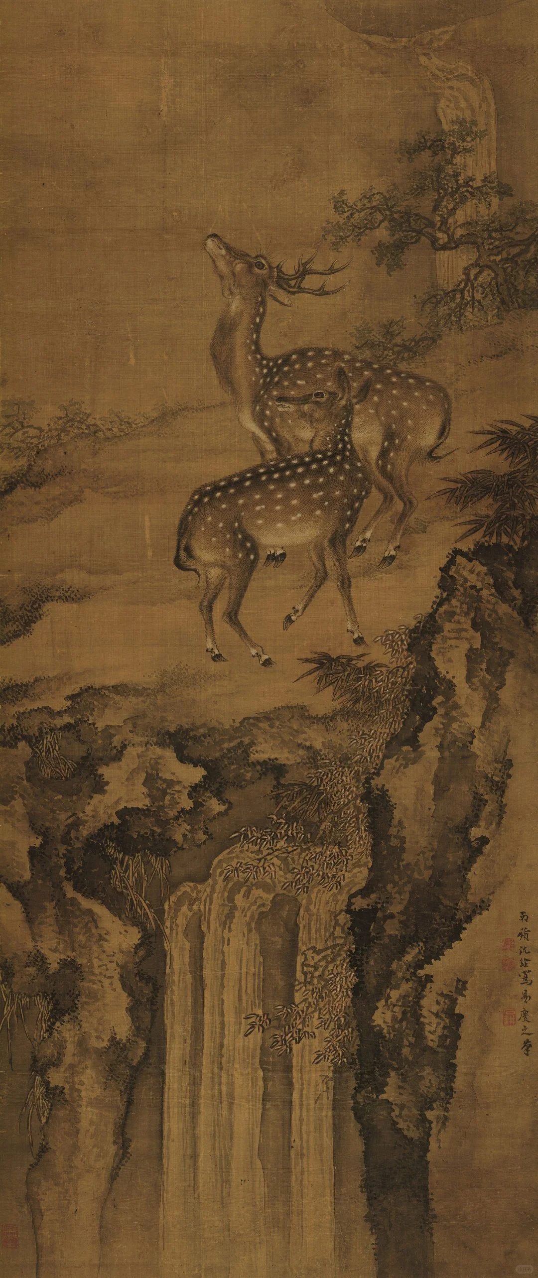 【清代画家沈铨的花鸟鱼虫动物画也很好看】