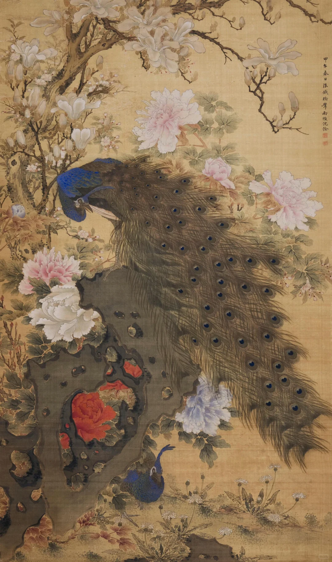【清代画家沈铨的花鸟鱼虫动物画也很好看】