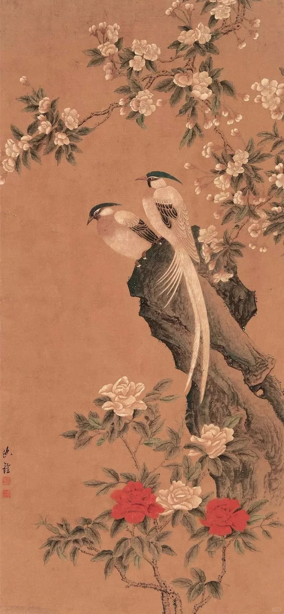 【清代画家沈铨的花鸟鱼虫动物画也很好看】