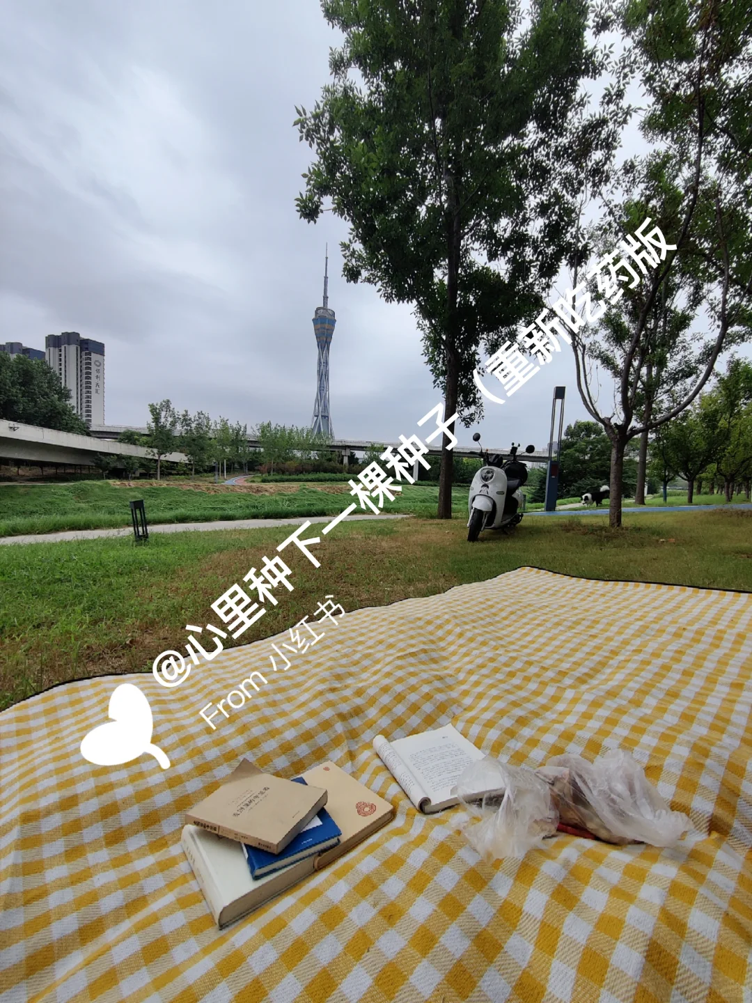 我的脑雾消失是怎么做到的？
