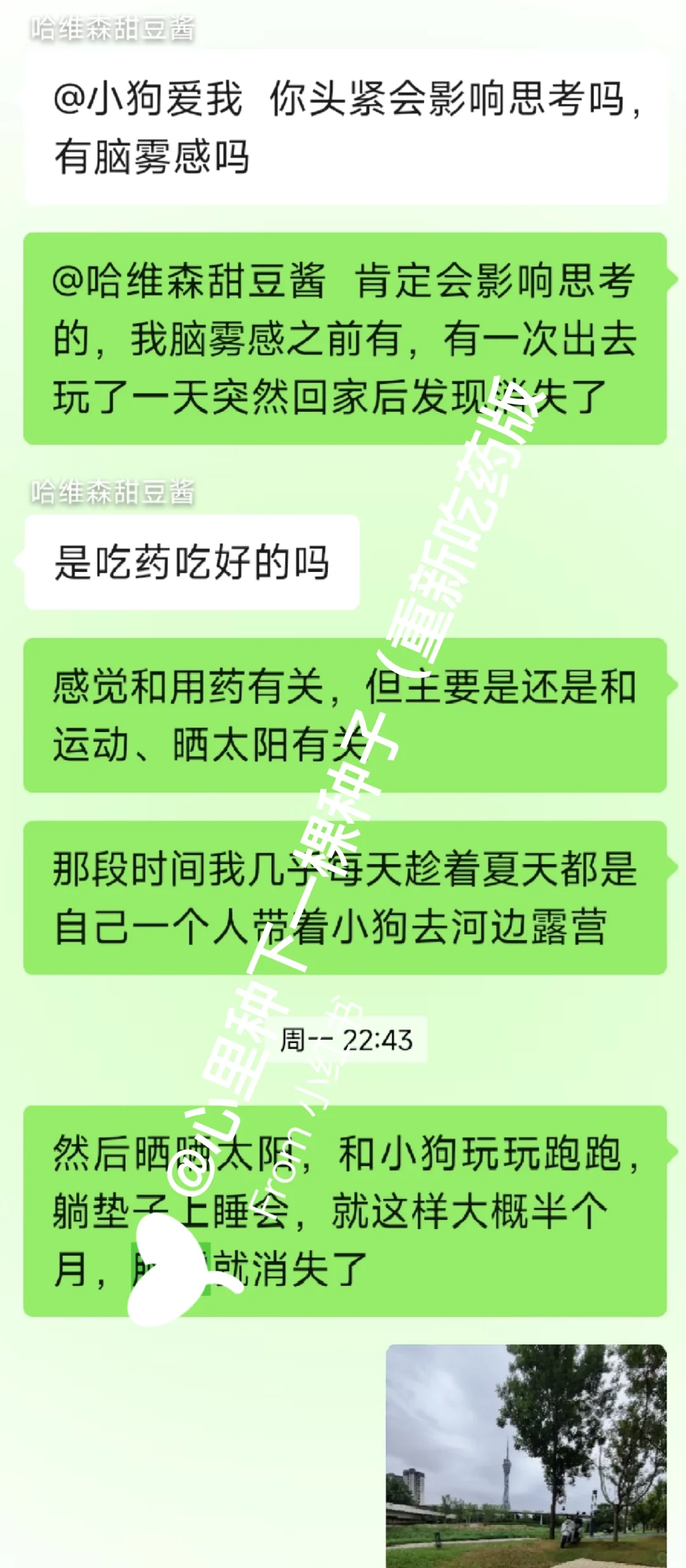 我的脑雾消失是怎么做到的？