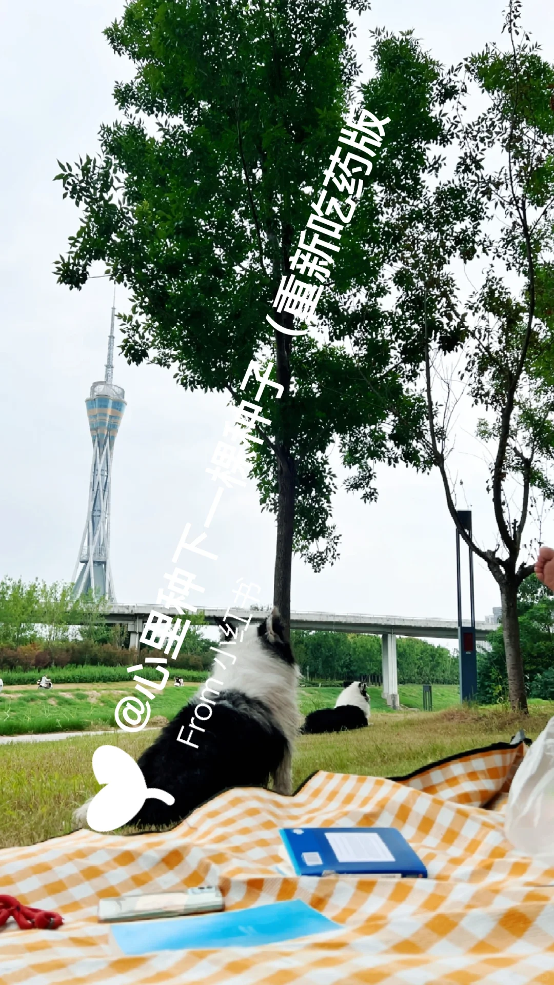 我的脑雾消失是怎么做到的？