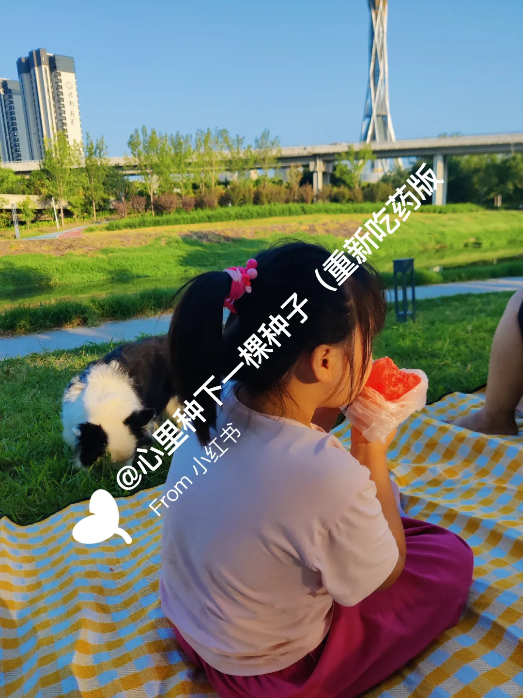 我的脑雾消失是怎么做到的？