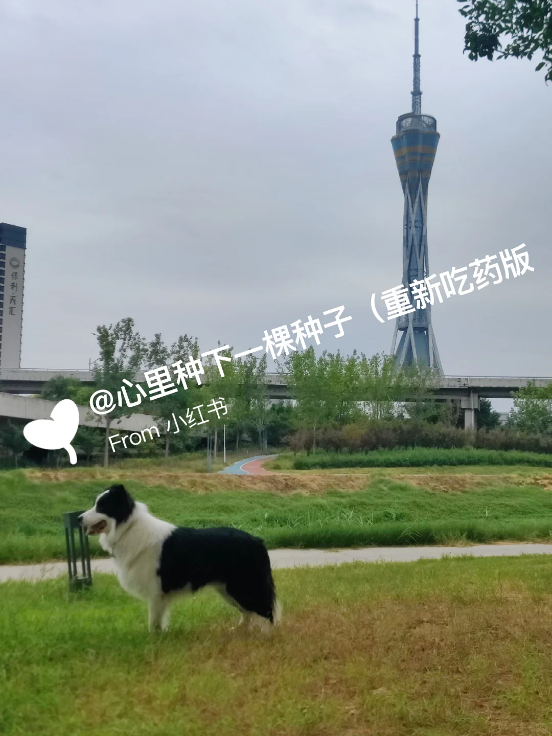 我的脑雾消失是怎么做到的？