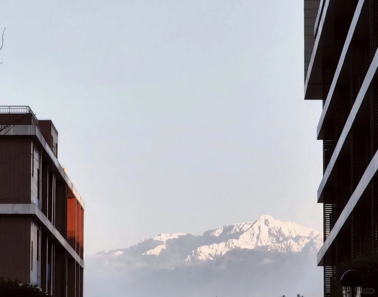 科成 什邡校区?