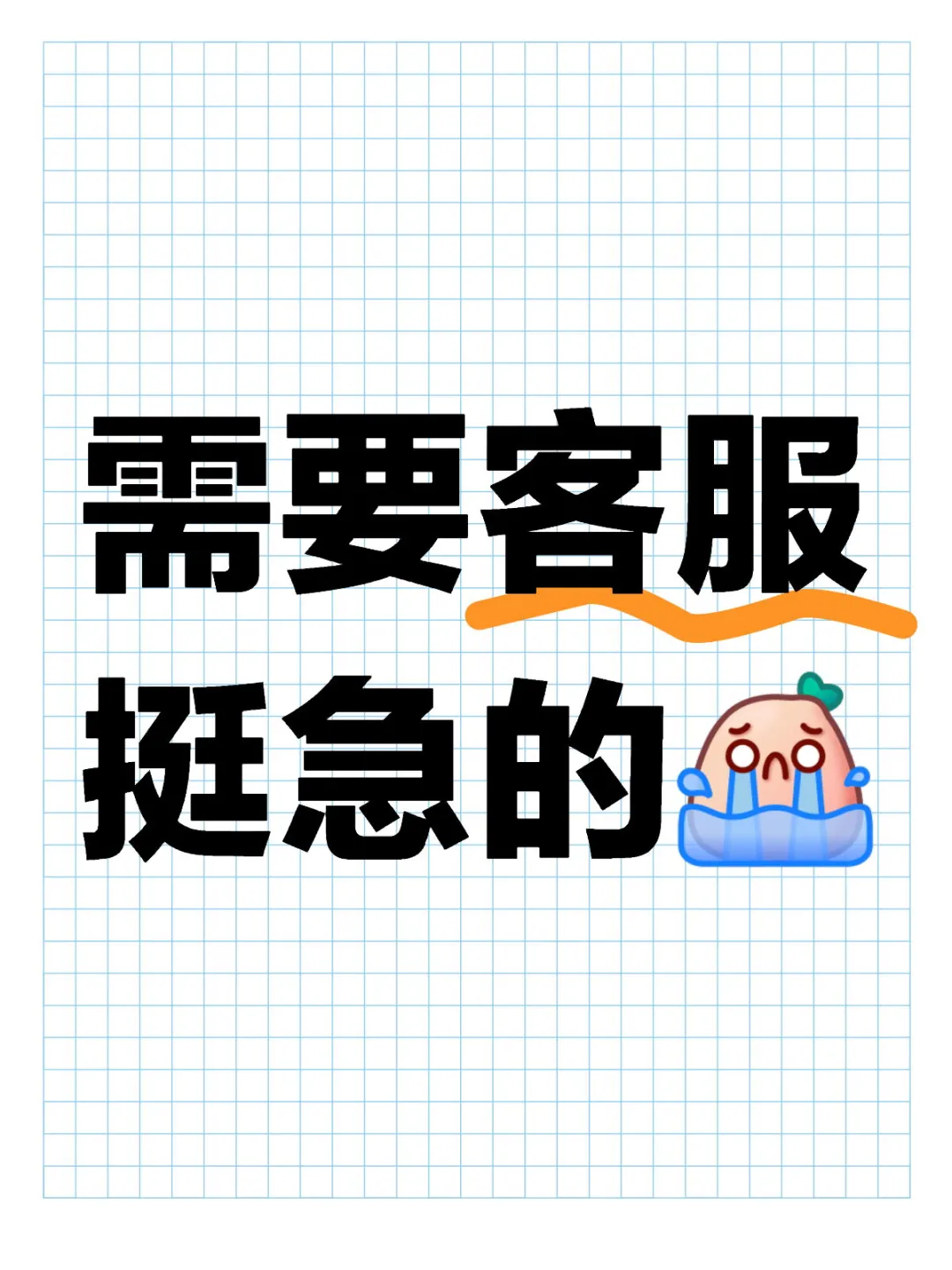 新华贸急招