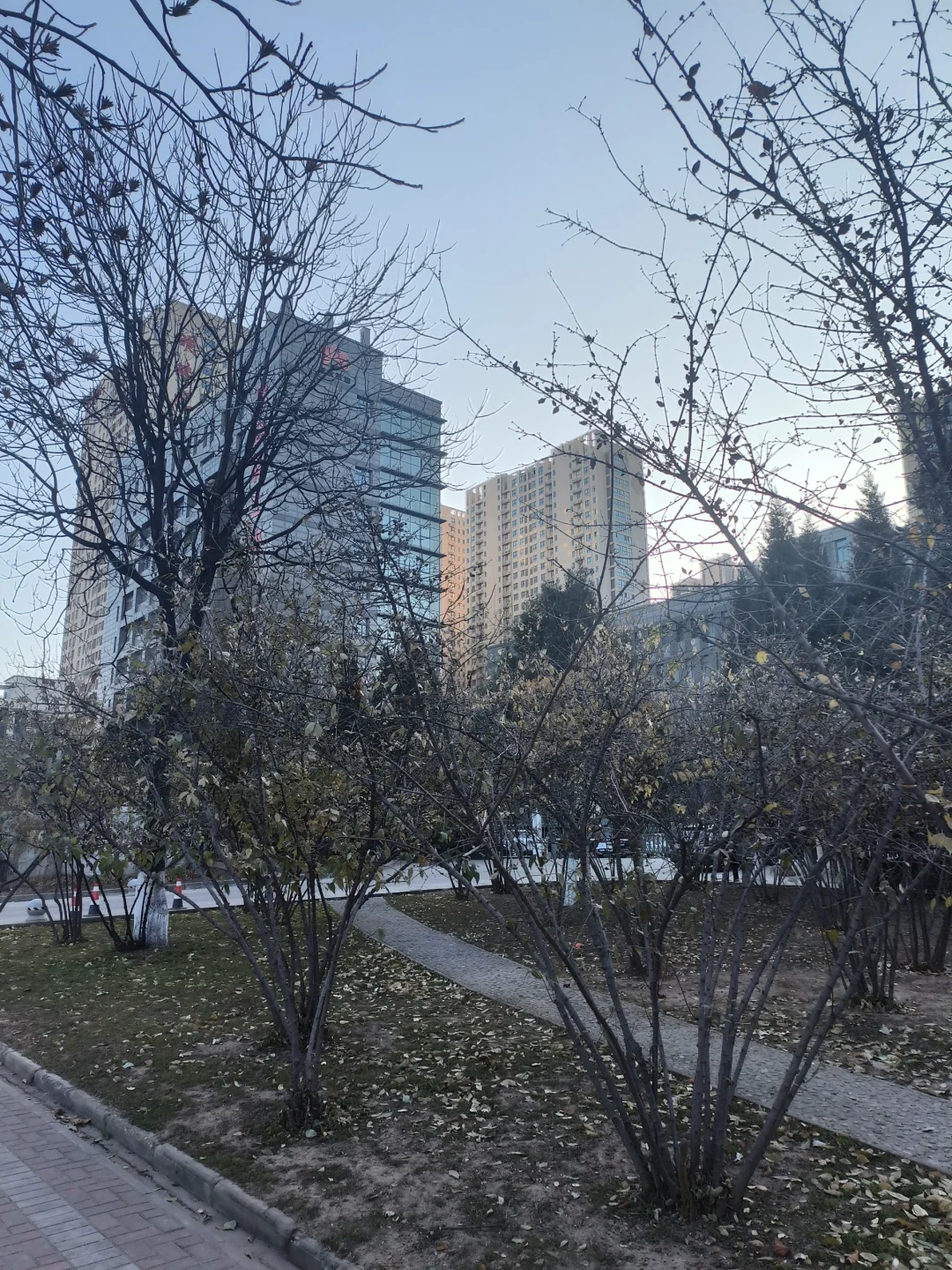 延长石油你怎么敢的啊