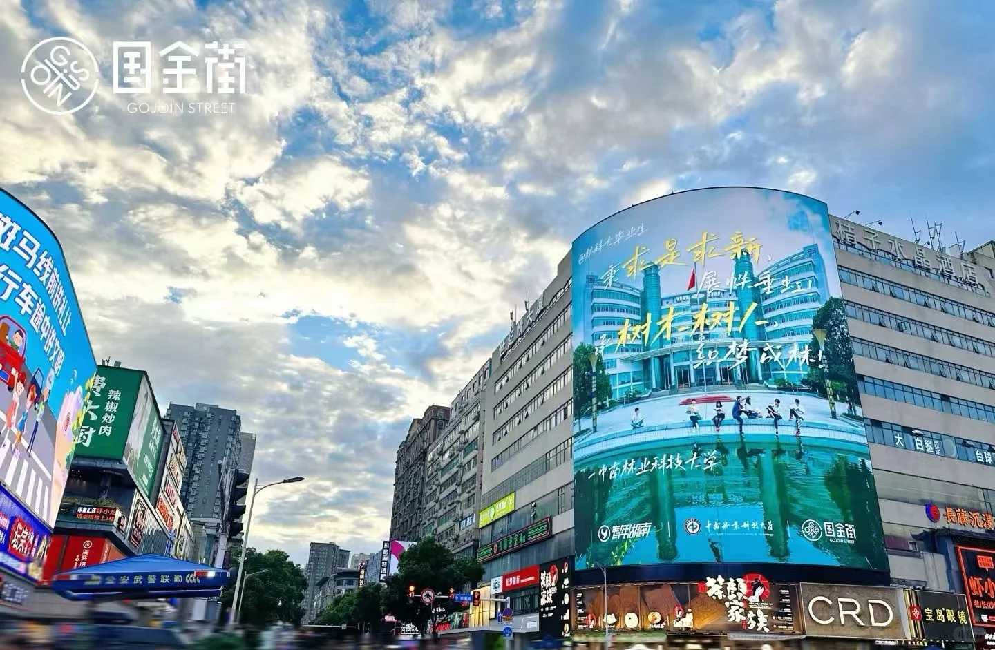 林科大也是出息了哈