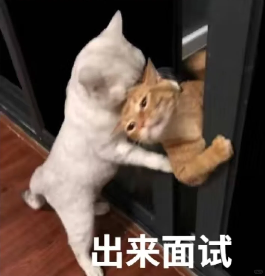 小厂直招，招暑假工！！！