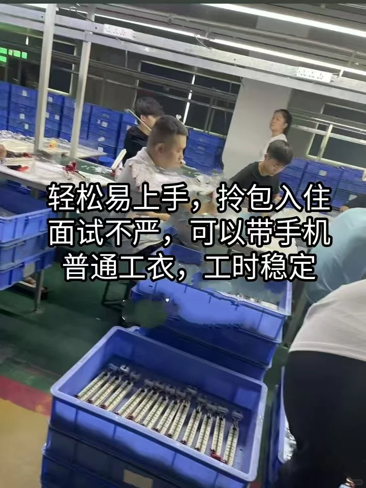 小厂直招，招暑假工！！！