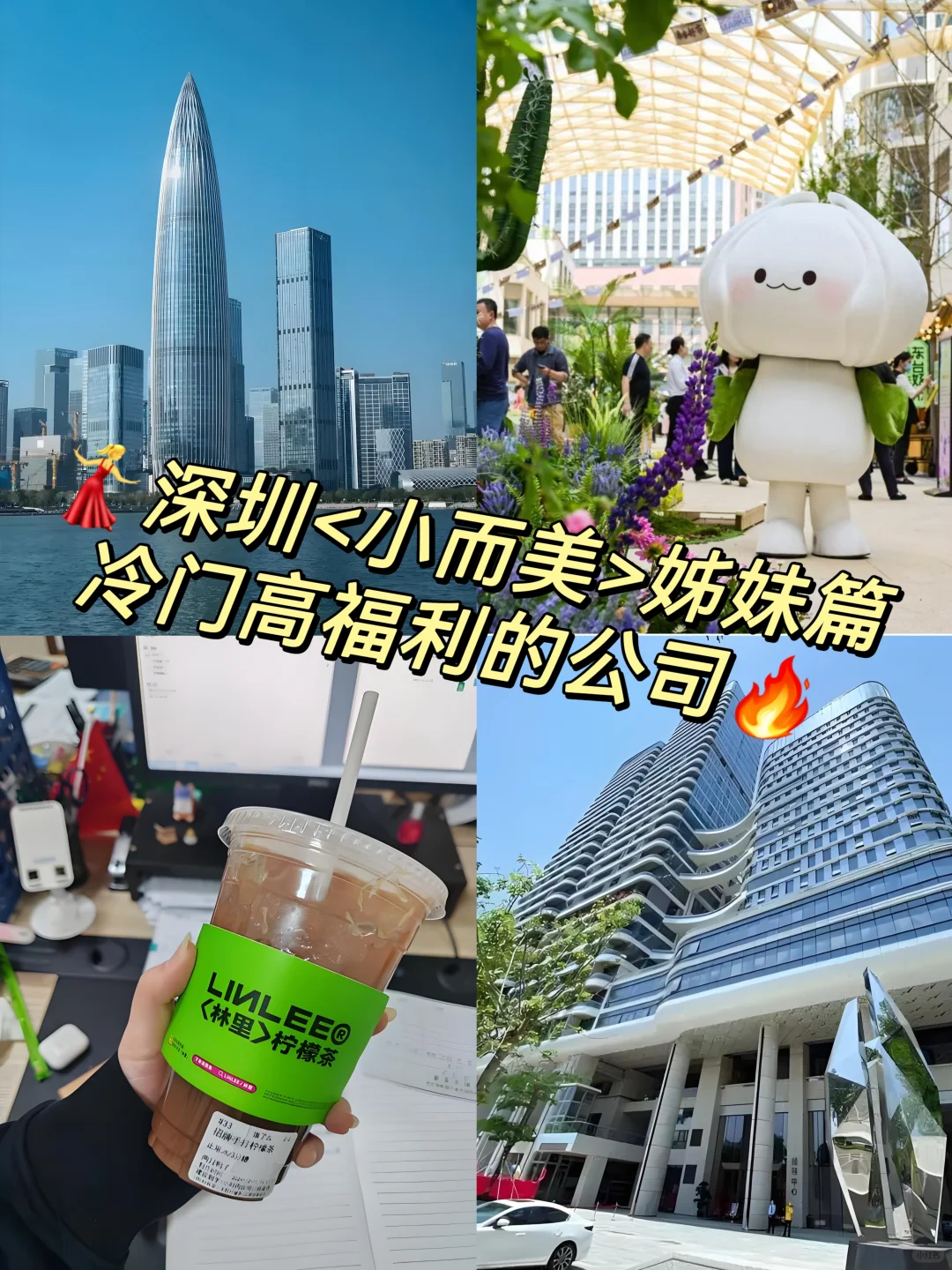 深圳冷门高福利的神仙公司? 冲冲?