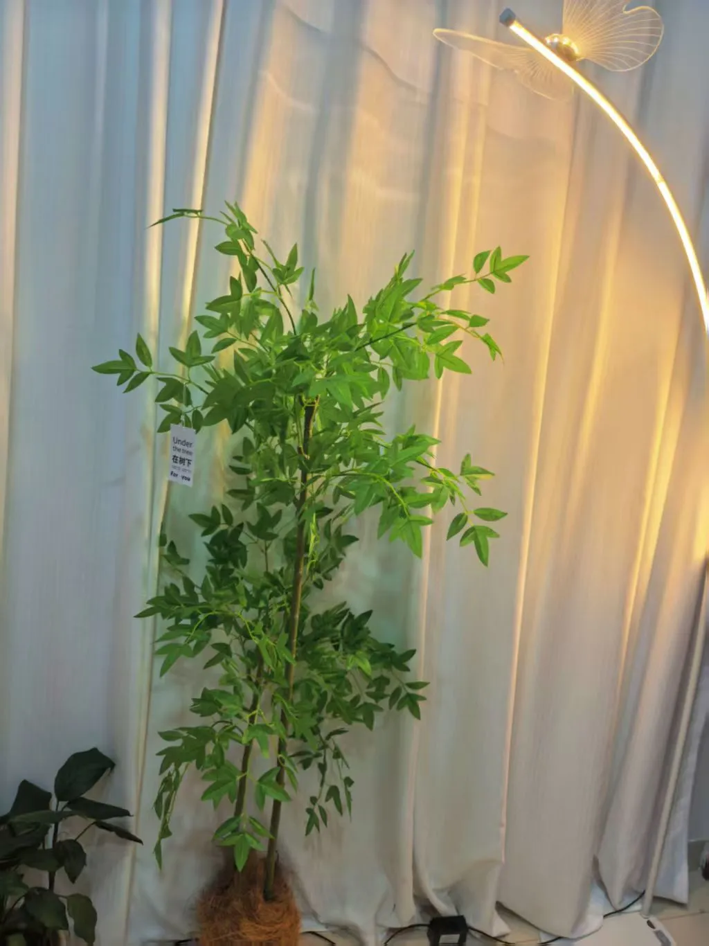 素人宝妈看过来!直播主播火热招聘