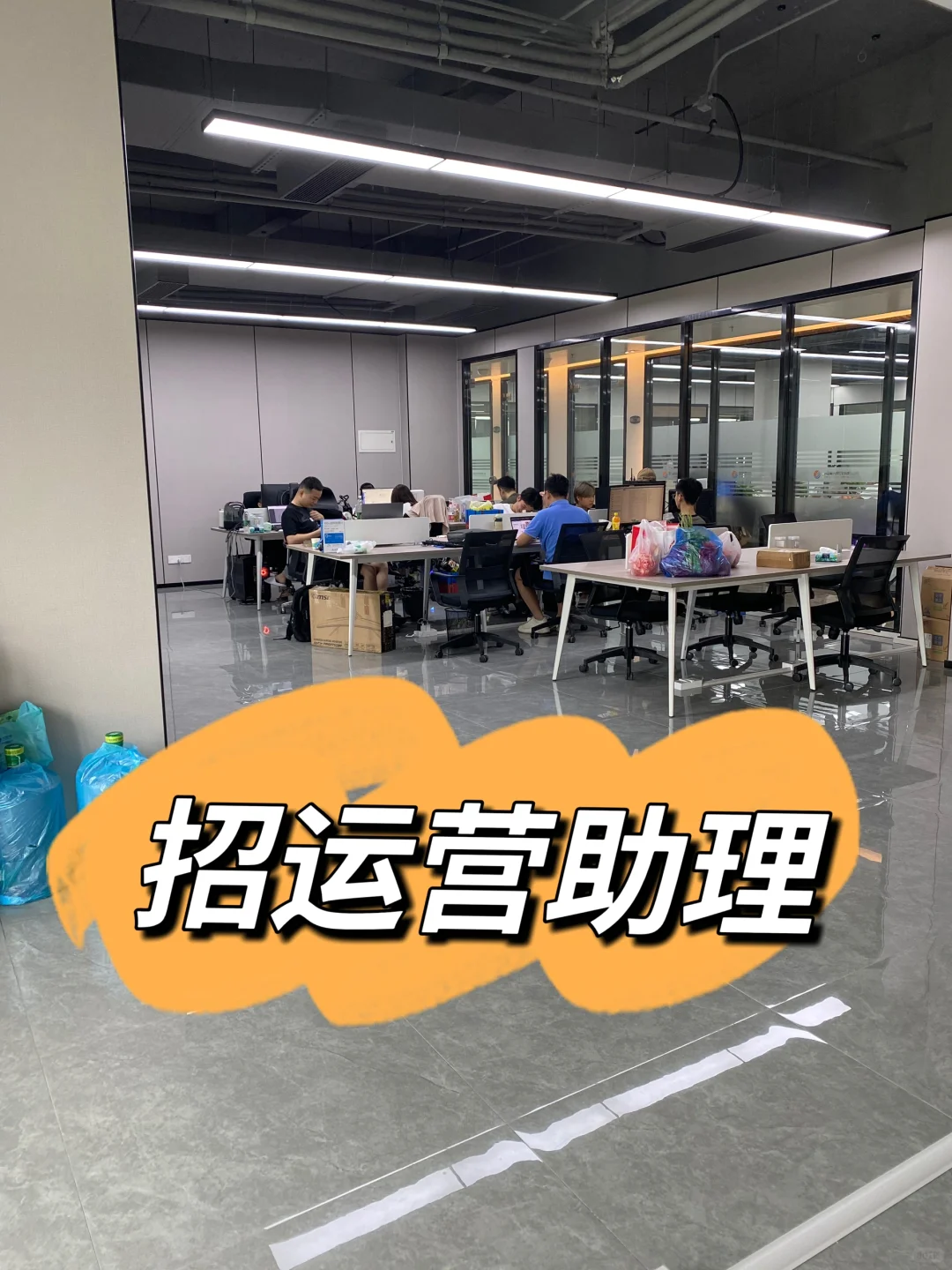 寻!寻!寻!运营助理来啦?