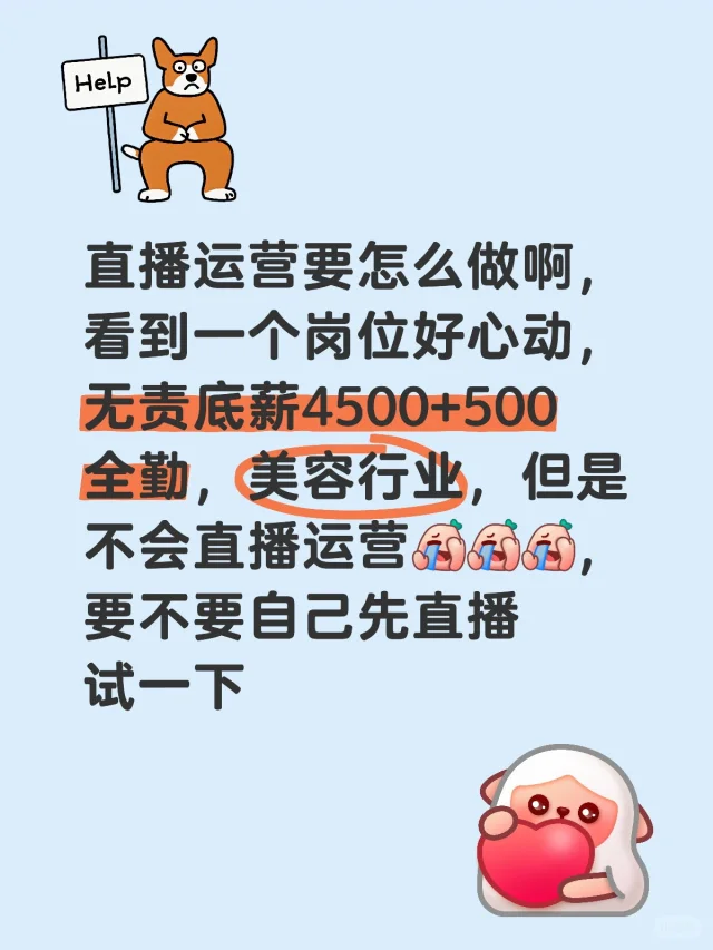 直播运营怎么做