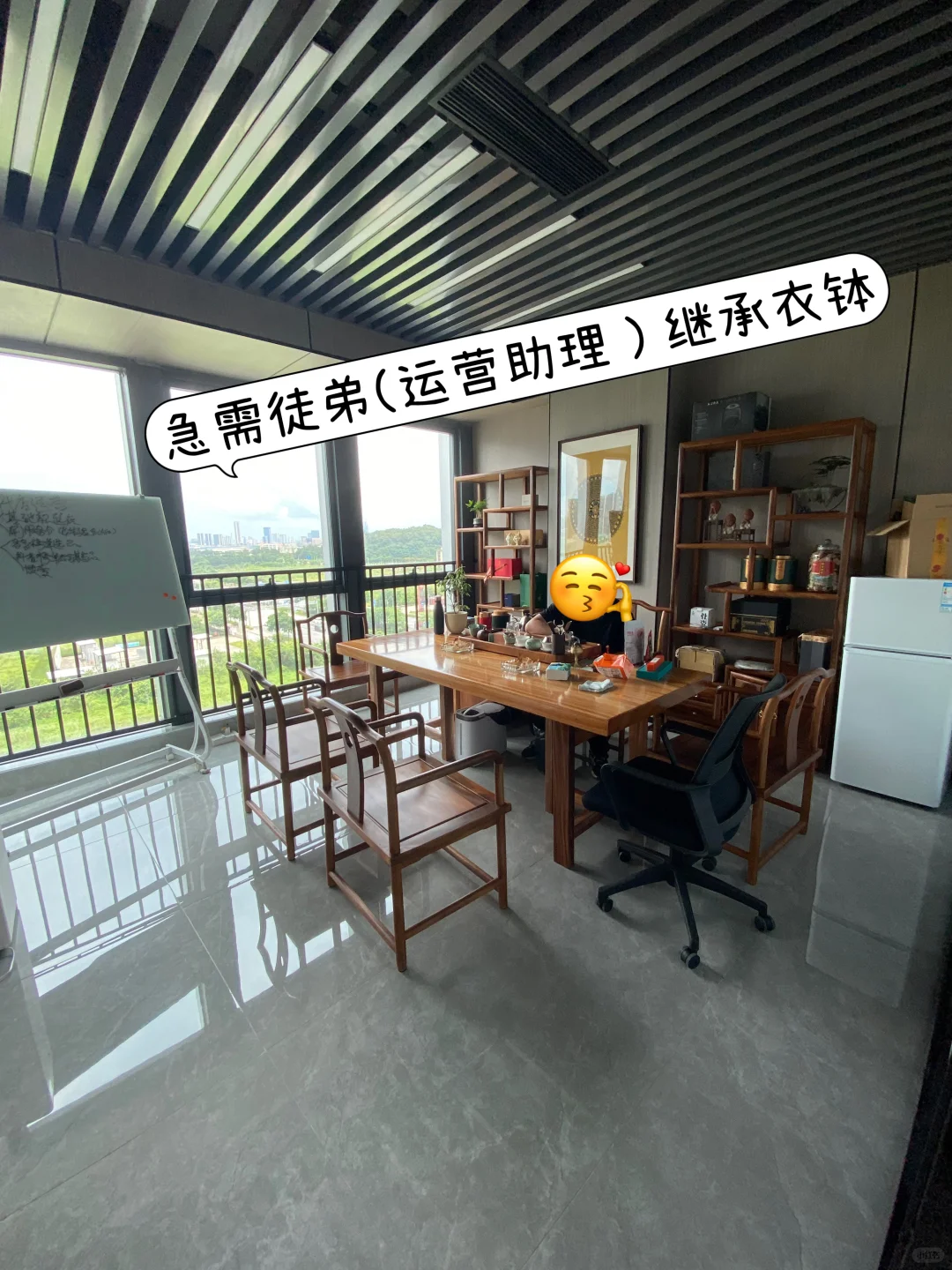 寻!寻!寻!运营助理来啦?