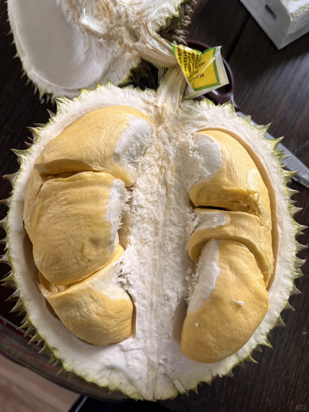 榴莲主播招聘