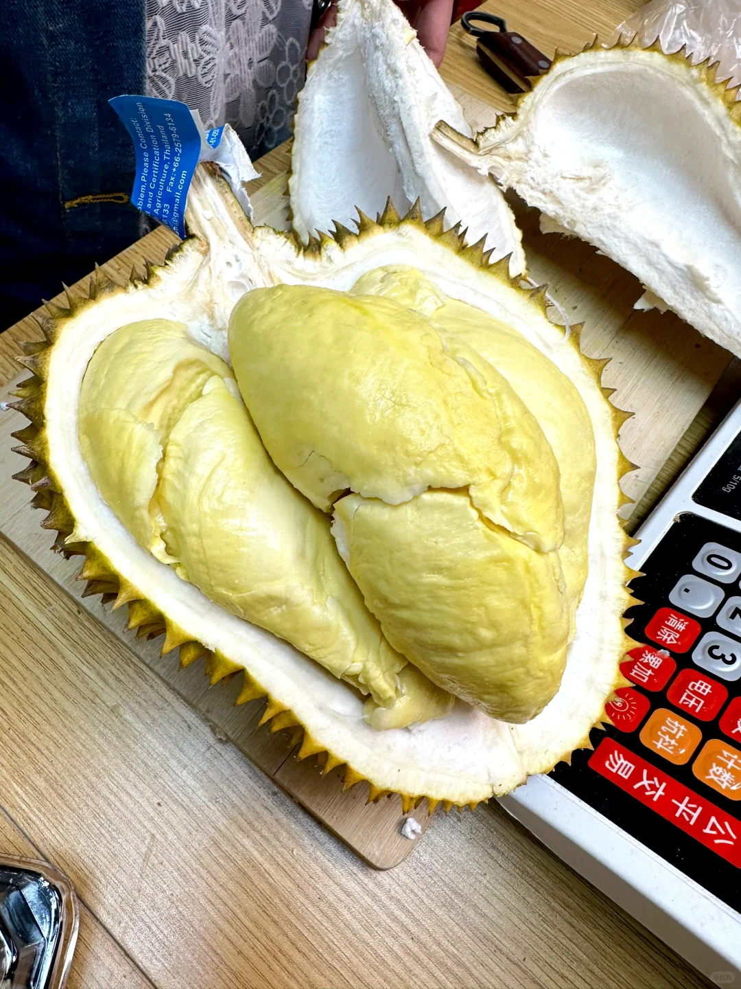 榴莲主播招聘