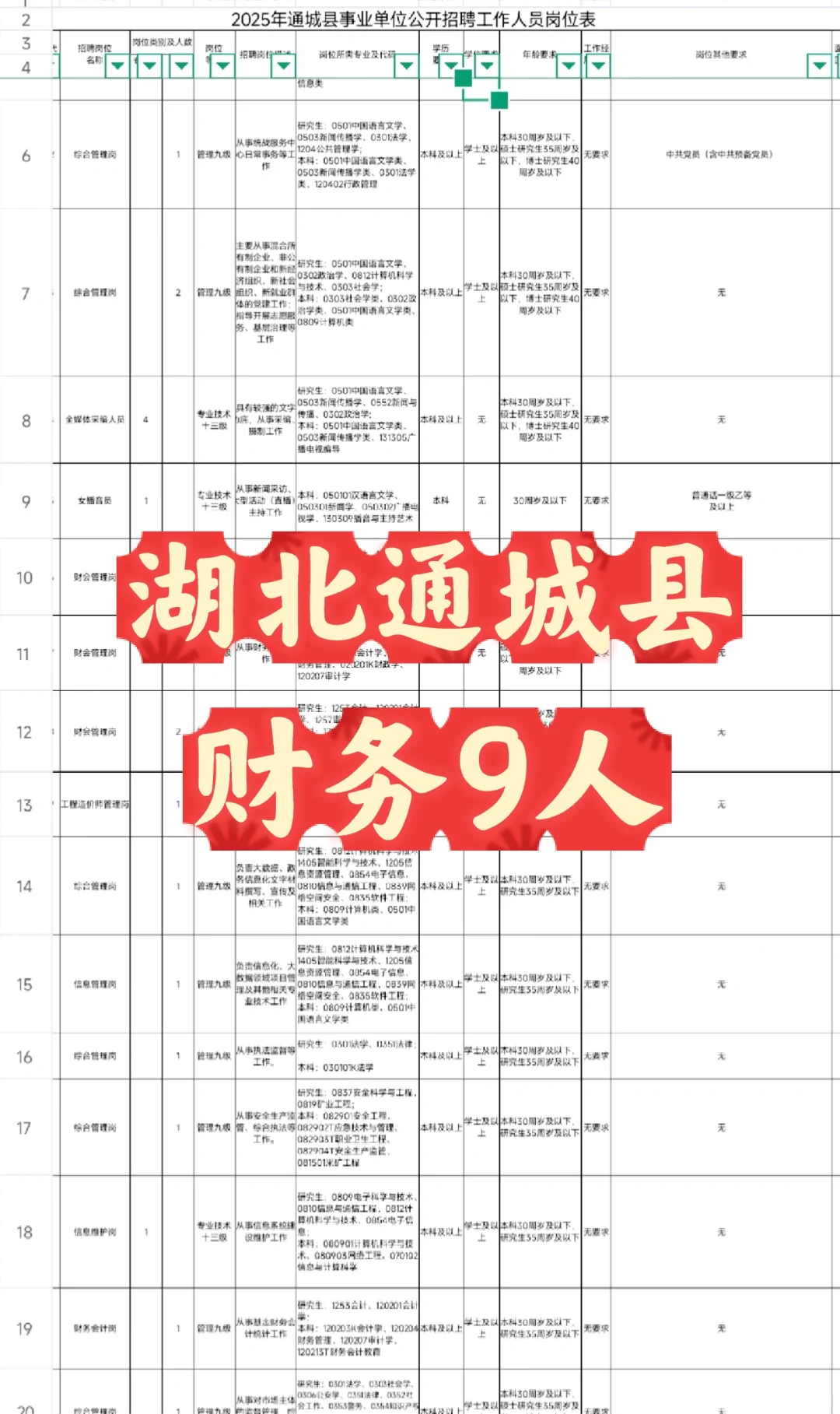 2025湖北通城县事业单位招聘财务9人