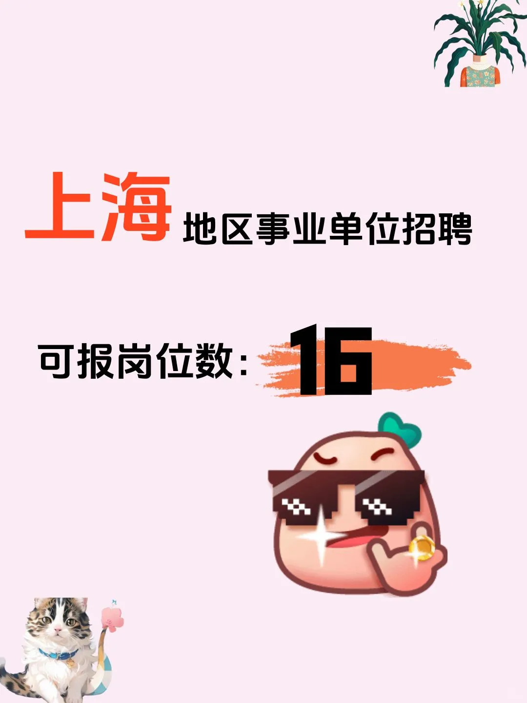 上海事业单位招聘，8号报名截止