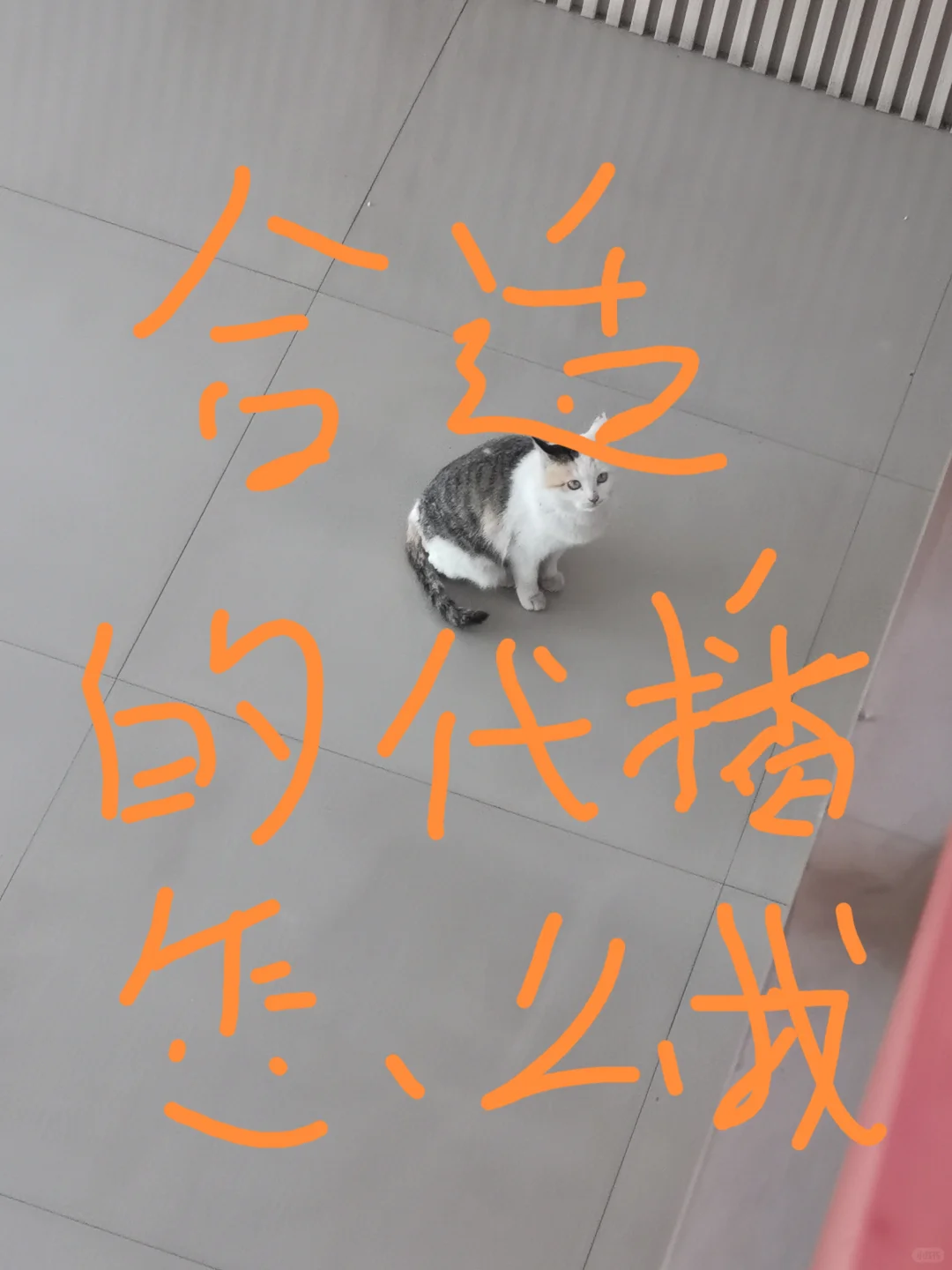 怎么找代播