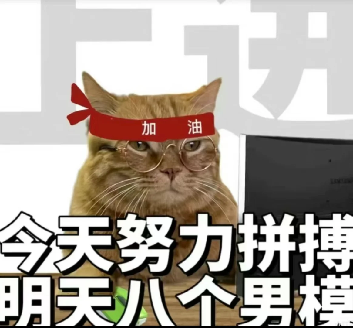 颜值担当‼️