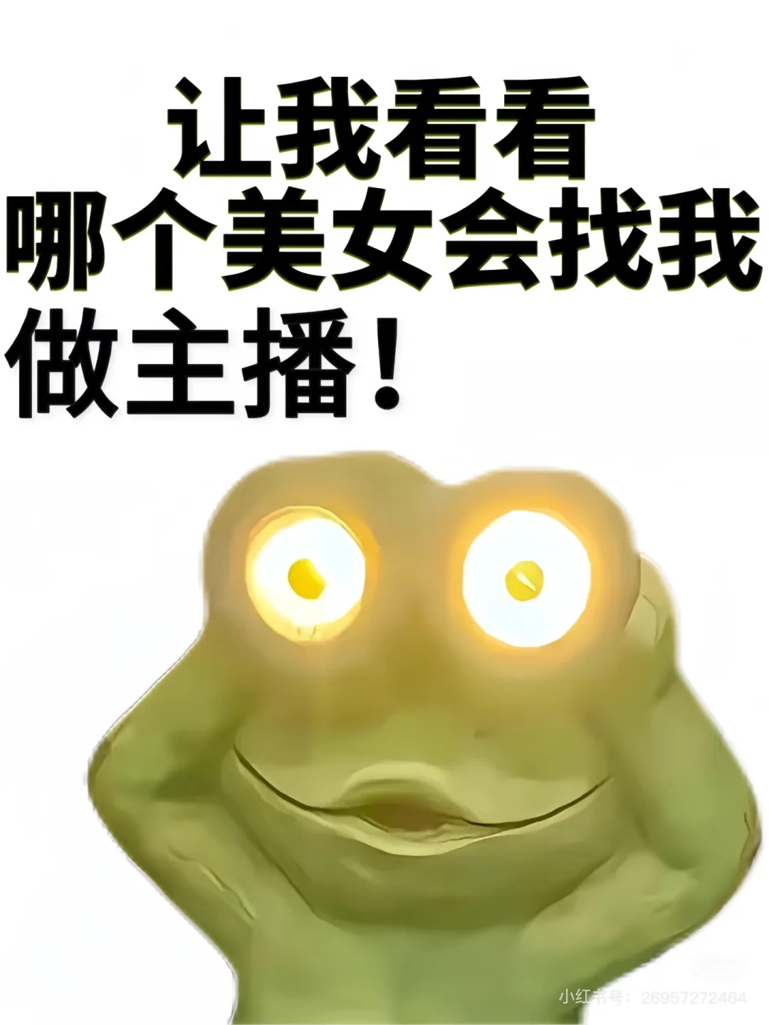 招主播了来个主播吧!!!