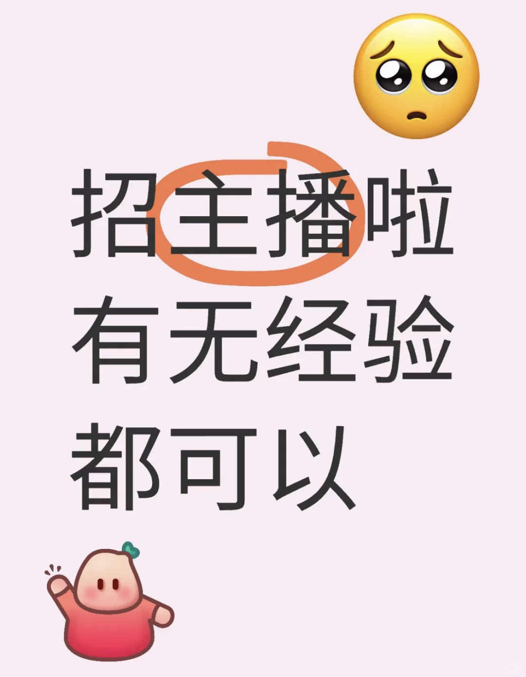 招 主播 招经纪人