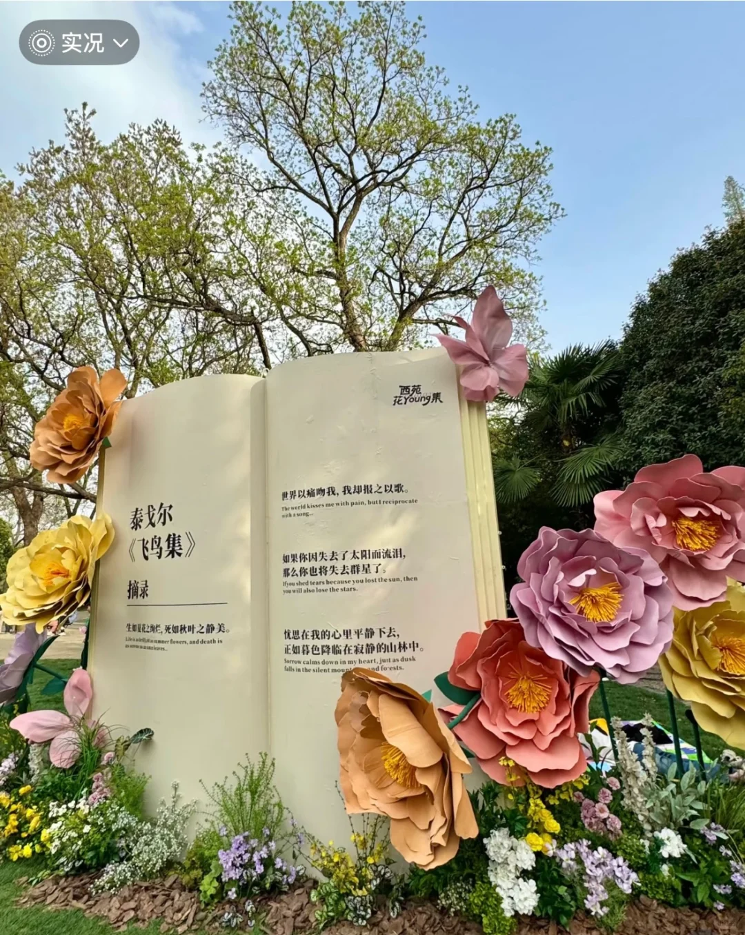 做主播实现经济自由