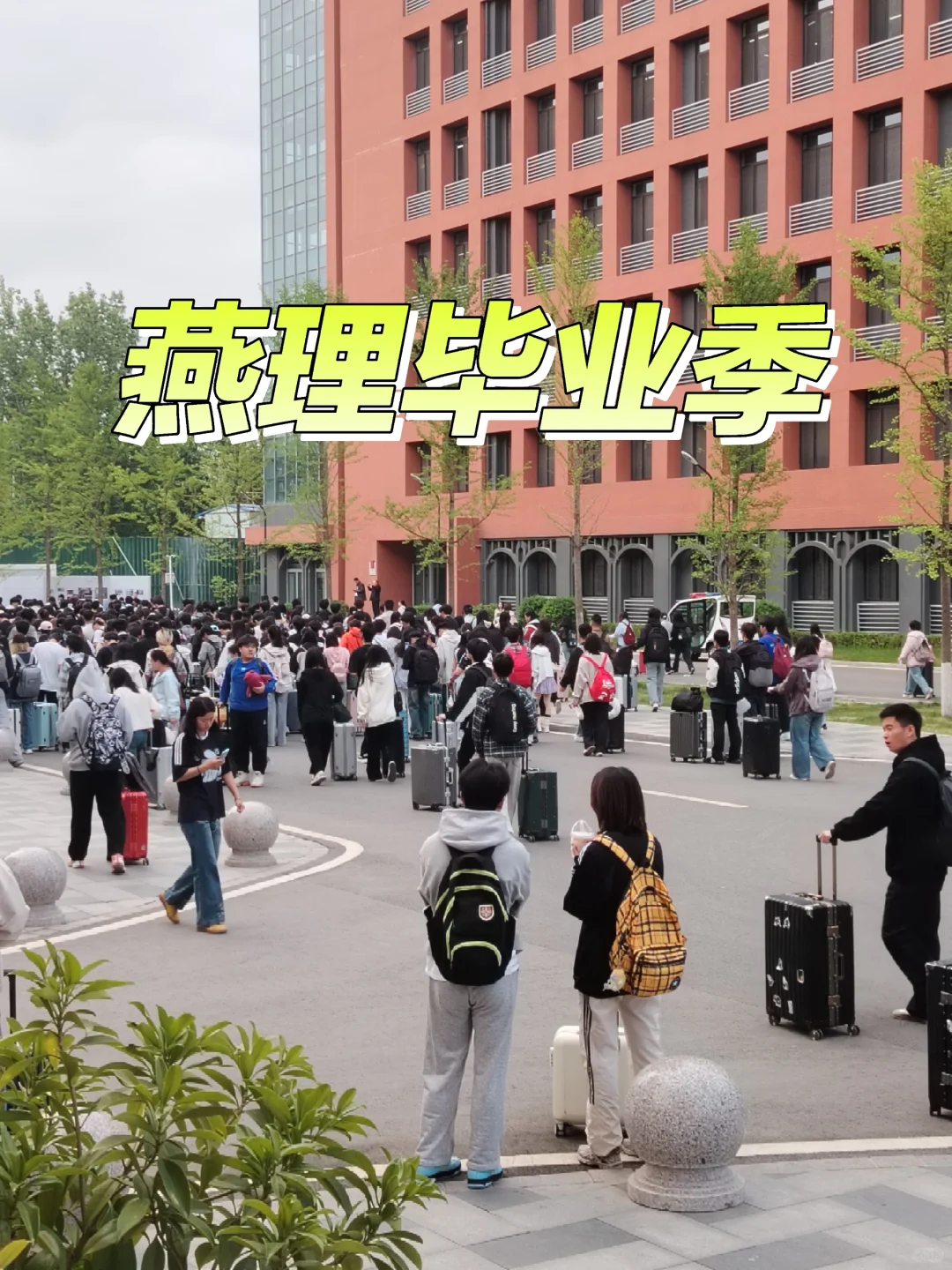 毕业季八点必须要干的|要毕业的学姐看过来