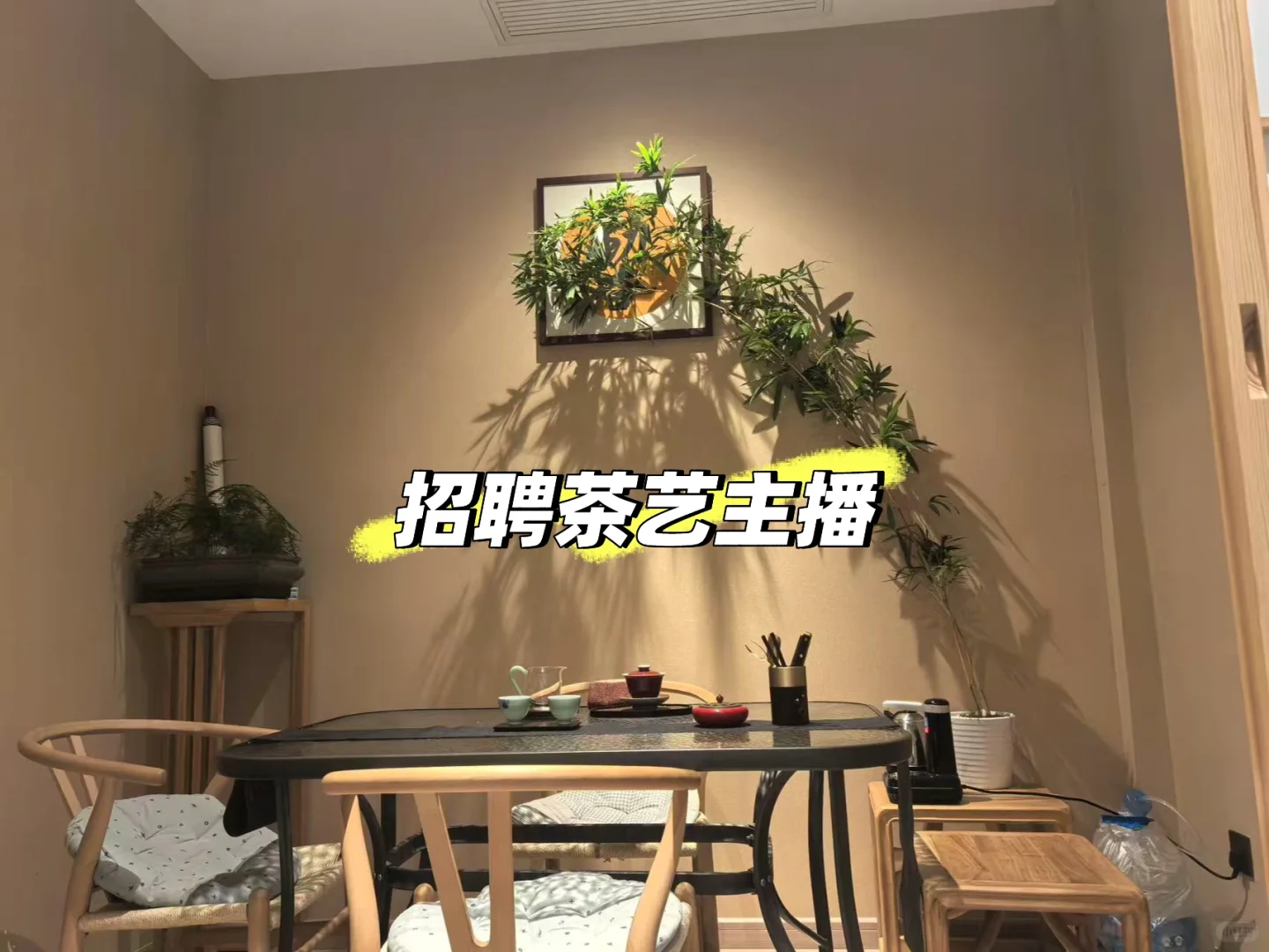 招聘茶艺主播