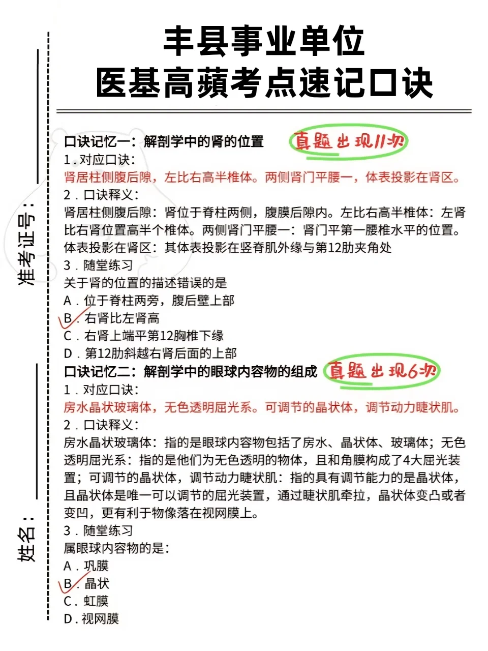 有编!2025年丰县事业单位公开招聘医务人员