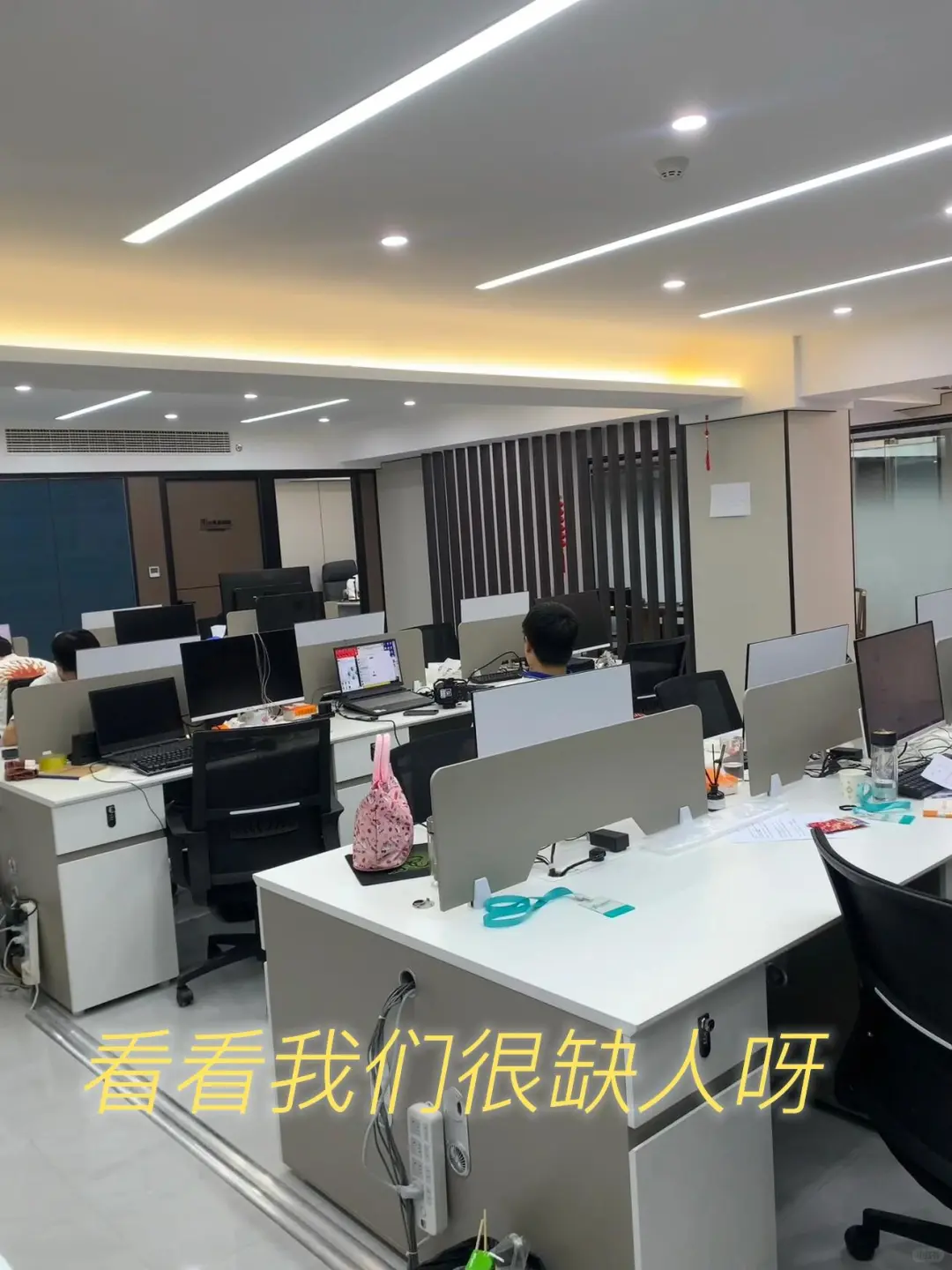 传媒公司招人啦！[星R]公主们上班啦~