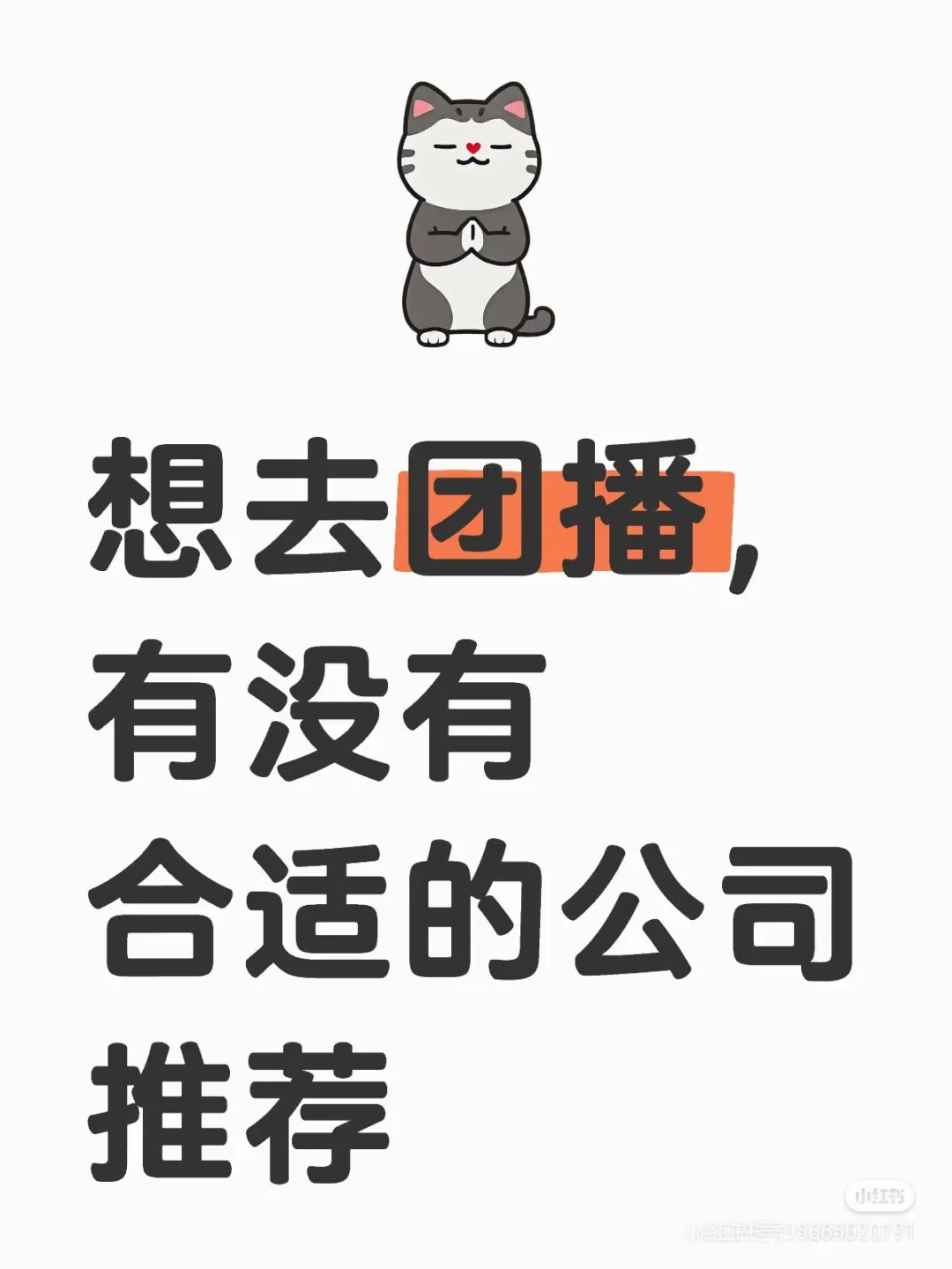 想去做团播主播，有没有适合的公司推荐呀