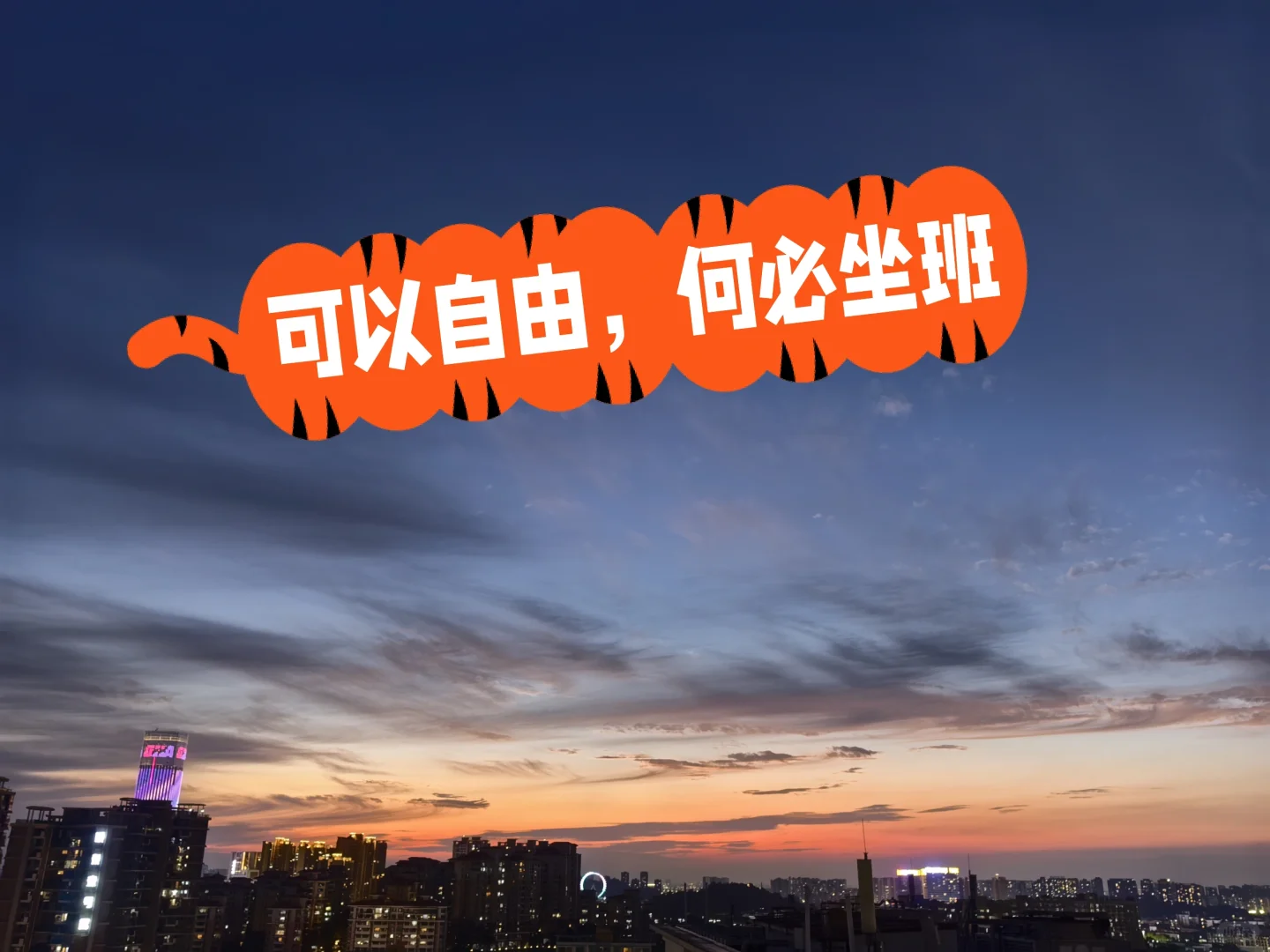 ✨中山带货主播✨