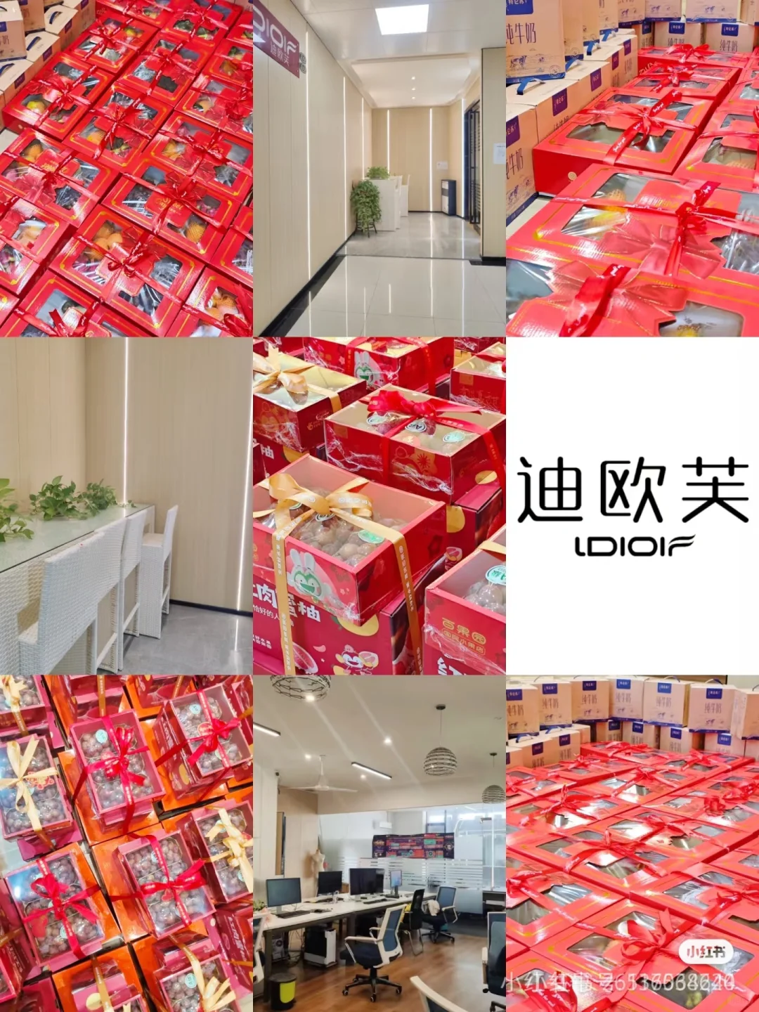 服装公司招聘,不坐班