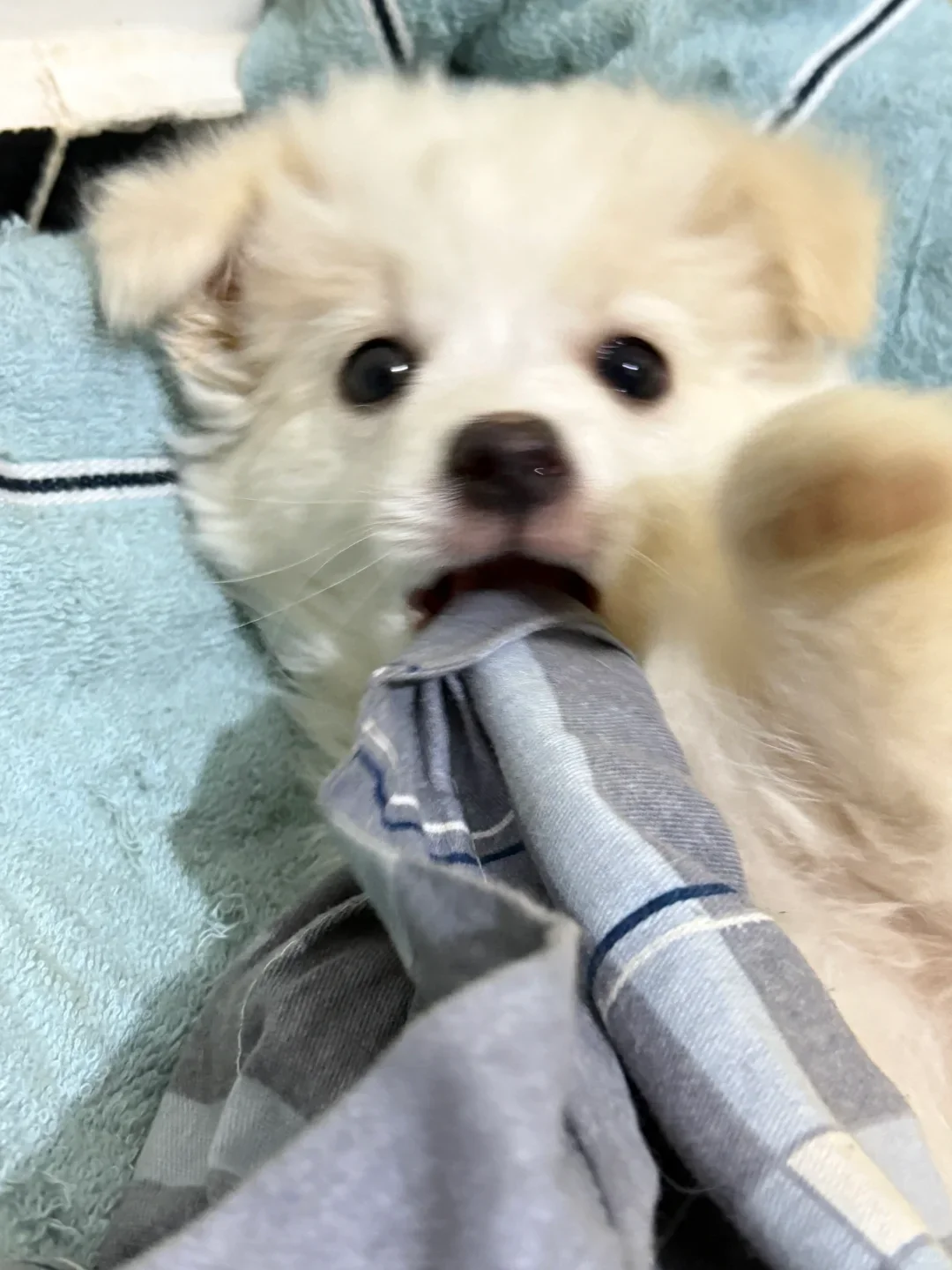 亲爱的宝儿们,你们现在在干嘛呢