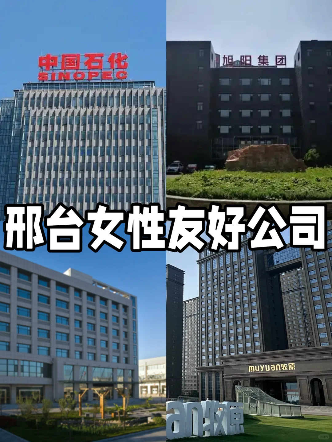 冲呀冲!邢台女性友好公司