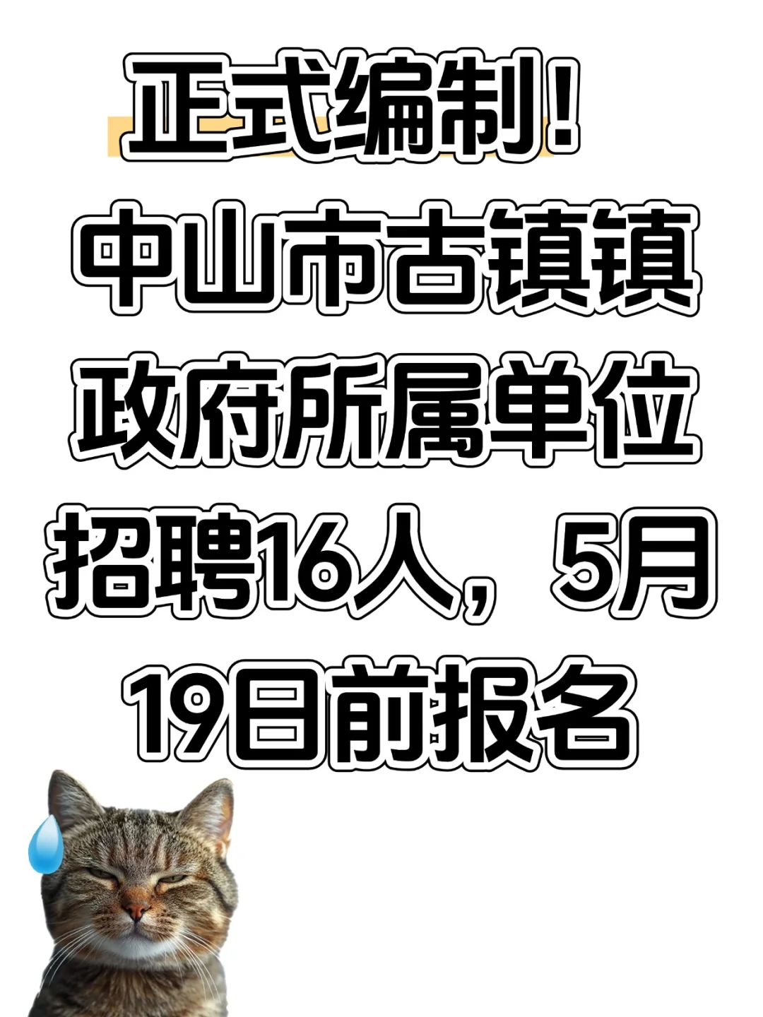 编制!中山市古镇镇政府所属单位招聘16人