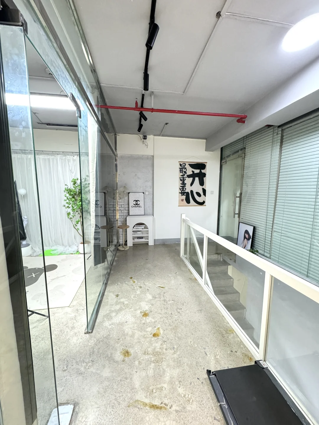 广西招主播~