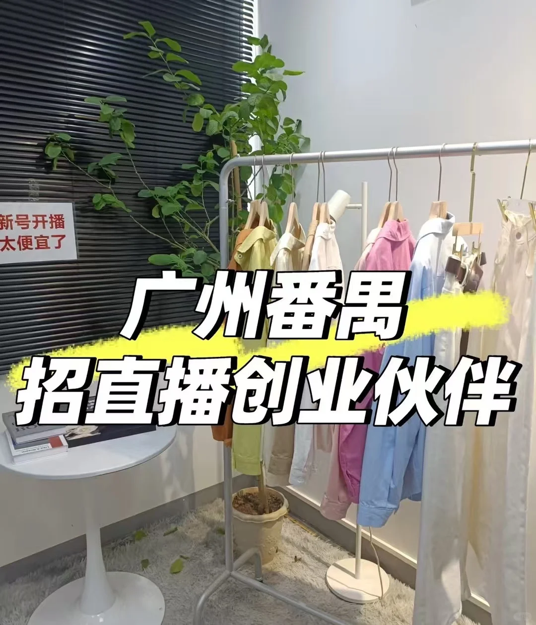 招女主播创业伙伴,宝宝们可以看过来