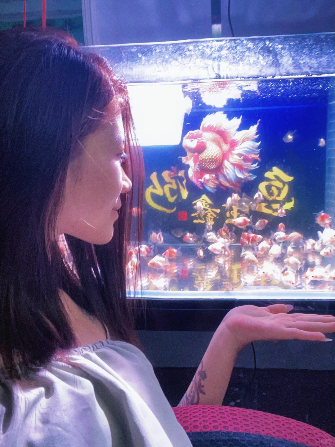 昌乐招聘直播主播
