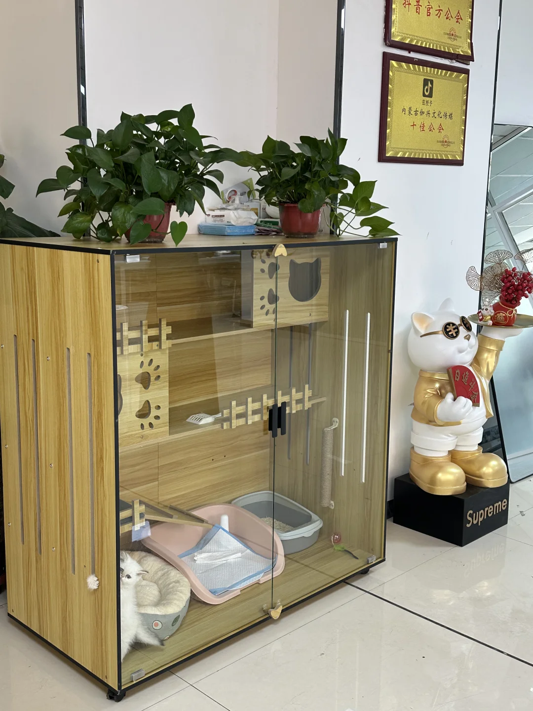 呼市氛围最好的传媒公司招人啦!!!