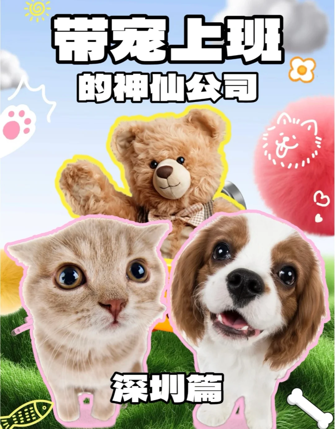 深圳沙井招聘萌宠带货短视频创作者