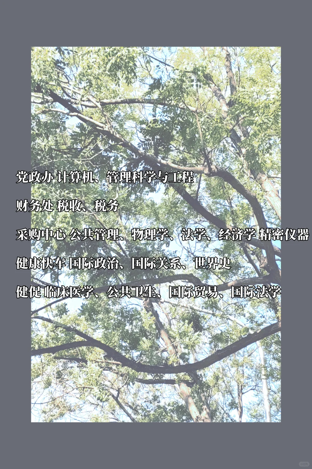 事业单位招聘|国际交流合作中心