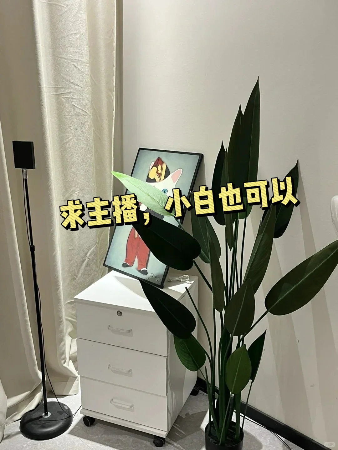 五月急需不出镜主播,要求不高