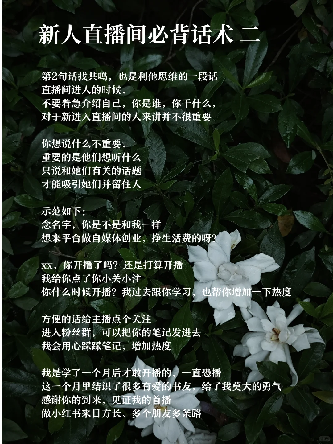 新人博主直播 告别冷场 保姆级必背直播话术